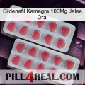 Sildenafil Kamagra 100Mg Oral Jelly 19